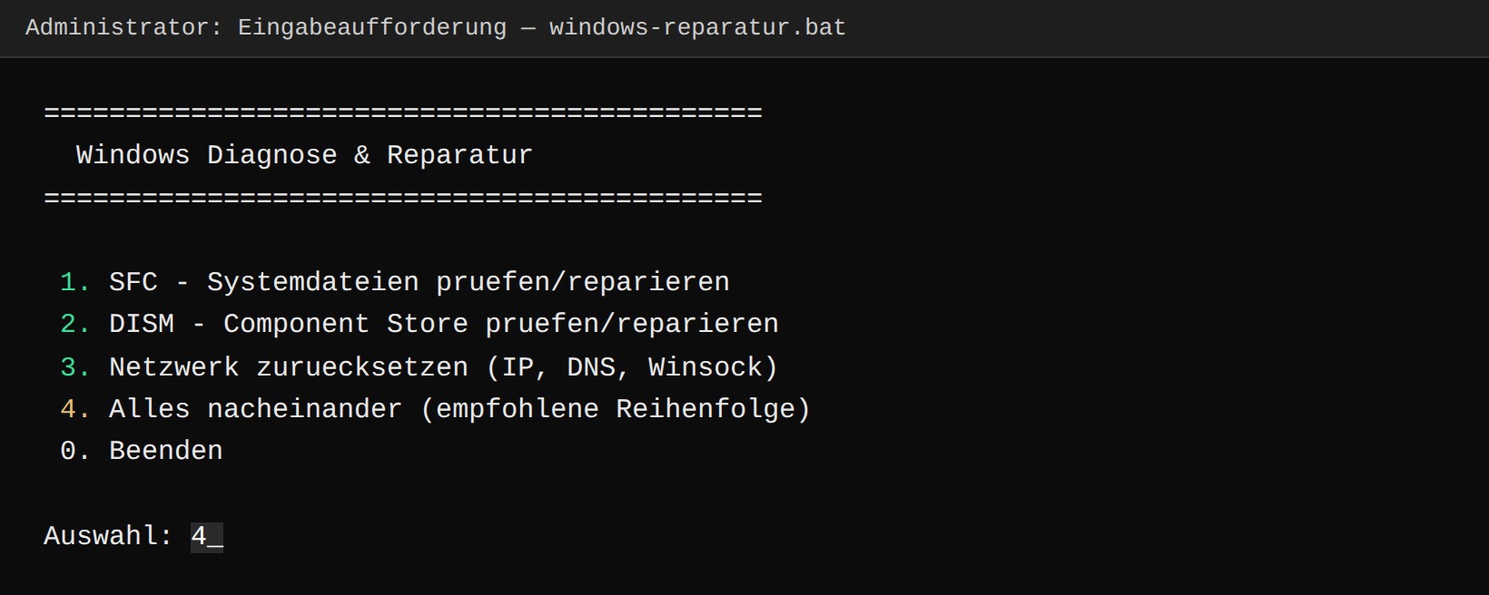 Beispielhafte Ausgabe: interaktives Reparatur-Menü