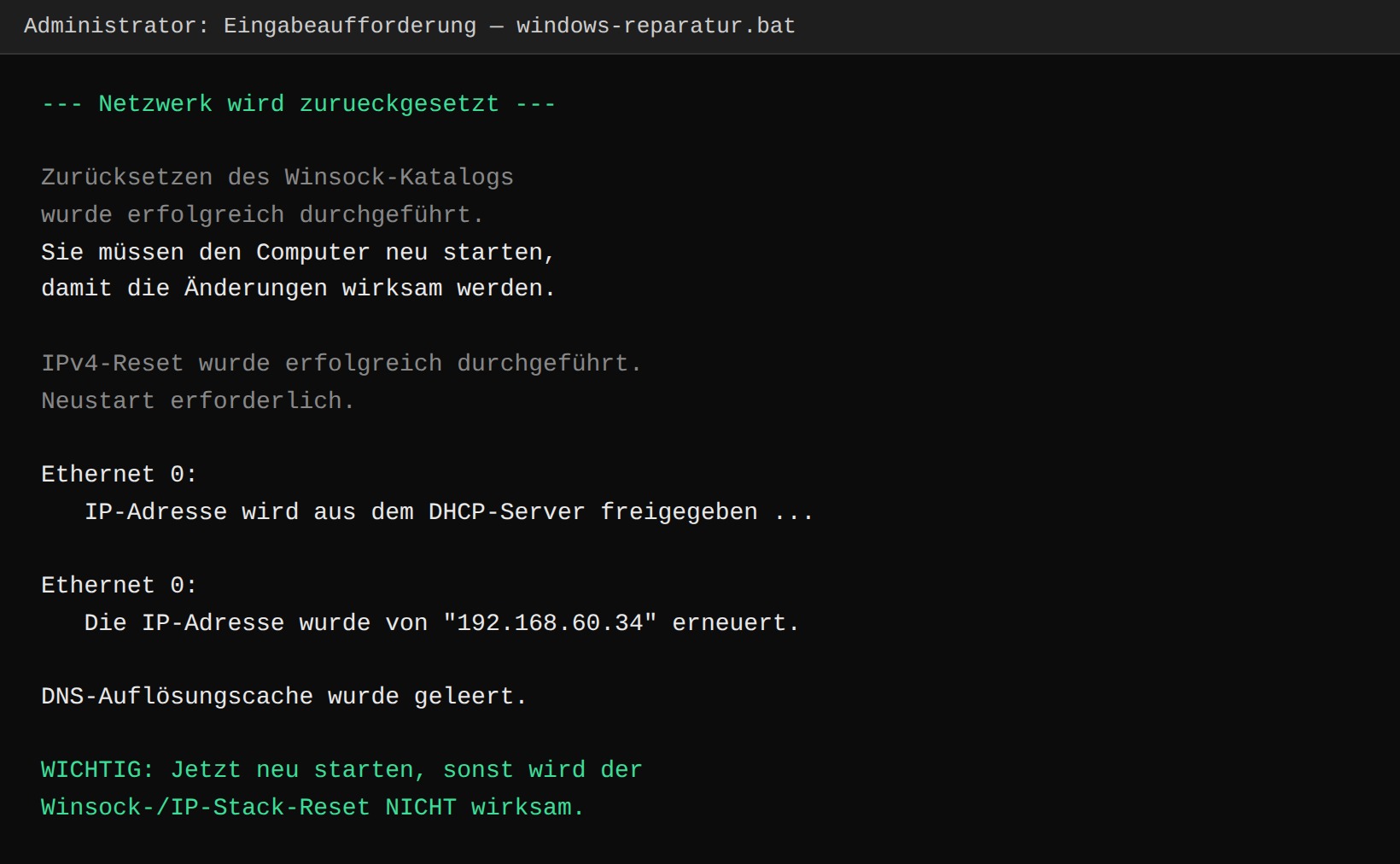 Beispielhafte Ausgabe: Netzwerk-Reset